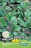 Germisem Baby Leaf Oriental Mix Semillas de Lechuga 2 g, EC6025 Foto, mejor precio 2,21 € nuevo 2024