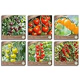 Samenliebe BIO Cherrytomaten Samen Set mit 6 samenfesten Gemüsesamen Sorten für Gewächshaus Freiland und Balkon Tomaten BIO Gemüse Saatgut Foto, bester Preis 15,99 € (2,66 € / stück) neu 2024