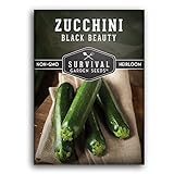 Survival Garden Seeds - Black Beauty Zucchini Seed for Planting - Pack with Instructions to Plant and Grow Dark Green Zucchini in Your Home Vegetable Garden - Non-GMO Heirloom Variety - 1 Pack Photo, best price $4.99 new 2024