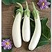 Photo White Princess (F1) Eggplant Seeds (30+ Seed Package)