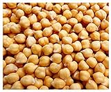Garbanzo Bean Seeds - Chickpea Seeds - 30+ Seeds Photo, best price $9.99 ($19.98 / Ounce) new 2024