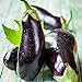 Photo David's Garden Seeds Eggplant Black Beauty 2477 (Black) 50 Non-GMO, Heirloom Seeds
