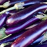 David's Garden Seeds Eggplant Long Purple 1131 (Purple) 50 Non-GMO, Heirloom Seeds Photo, best price $4.45 new 2024