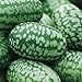 Photo Cucamelon Seeds 35 Seed Pack Mexican Sour Gherkin, Mouse Melon 35 Seeds