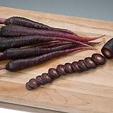 David's Garden Seeds Carrot Deep Purple 1111 (Purple) 200 Non-GMO, Hybrid Seeds Photo, best price $3.95 new 2024
