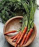 Burpee Scarlet Nantes Carrot Seeds 3000 seeds Photo, best price $7.40 new 2024