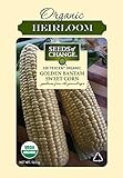 Seeds Of Change 6079 Golden Bantam Corn Photo, best price $8.99 new 2024