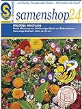 Samenshop24´s Bienenfreude, niedrige Blumenmischung (1 Stück) Foto, bester Preis 2,49 € (2,49 € / Stück) neu 2024