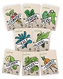 Vegetable Seeds Heirloom SillySeed Collection - 100% Non GMO Veggie Garden Variety Pack: Tomato, Cucumber, Lettuce, Kale, Radish, Peas, Carrot, Jalapeno Pepper Photo, best price $13.95 new 2024