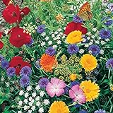 Roll Out Flower Seeded Mats That Attract Butterflies - Set of 2, Butterfly Photo, best price $16.98 ($8.49 / Count) new 2024