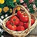 Photo Burpee 'Early Girl' Hybrid | Red Slicing Tomato | Rich Flavor & Aroma | 125 Seeds