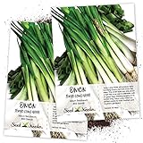 Seed Needs, Tokyo Long White Onion (Allium fistulosum) Twin Pack of 850 Seeds Each Non-GMO Photo, best price $4.85 new 2024