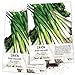 Photo Seed Needs, Tokyo Long White Onion (Allium fistulosum) Twin Pack of 850 Seeds Each Non-GMO