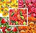 Photo BIG PACK - (500+ Seeds) Hot Pepper Combo I - Bhut Jolokia Ghost Pepper, Habanero Orange, Habanero Red, Jamaican Yellow, Jamaican Red Pepper Seeds- Non-GMO Seeds by MySeeds.Co (BIG PACK - Hot Pepper I)