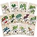 Photo Heirloom Vegetable Seeds Kit 13 Pack – 100% Non GMO for Planting in Your Indoor or Outdoor Garden: Tomato, Peppers, Zucchini, Broccoli, Beet, Bean, Carrot, Kale, Cucumber, Pea, Radish, Lettuce