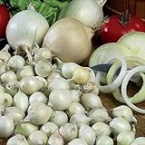 Onion Sets Red,Yellow,White or Mix 40-70 bulbs) Garden Vegetable- Choose a color(Yellow) Photo, best price $6.35 ($0.12 / Count) new 2024