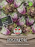 81180 Sperli Premium Rosenkohl Samen Flower Sprouts | Neuheit | Mischung aus Rosenkohl und Grünkohl | Rosenkohl Saatgut | Kohl Samen Foto, bester Preis 6,77 € neu 2024