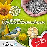 samore Sonnenblumenkerne gestreift erstklassige Qualität Wildvogelfutter Foto, bester Preis 38,56 € (1,54 € / kg) neu 2024