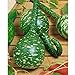 Photo Long Handle Dipper Gourd Seeds for Planting - 20 Seeds