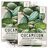 Seed Needs, Cucamelon/Mexican Sour Gherkin (Melothria scobra) Twin Pack of 65 Seeds Each Photo, best price $8.85 ($0.07 / Count) new 2024