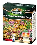 Sommerblumenmischung (ohne Gräser) NEU Foto, bester Preis 7,21 € (72,10 € / kg) neu 2024