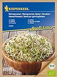 Bio Keimsprossen verschiedene Sorten Alfalfa Radies Brokkoli Weizen Rauke Linsen Zwiebel (Alfalfa) Foto, bester Preis 4,13 € neu 2024