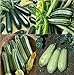 Photo David's Garden Seeds Collection Set Zucchini 9835 (Green) 4 Varieties 100 Non-GMO, Open Pollinated Seeds