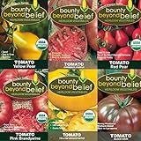Tomato Seeds /Heirloom Tomatoes, Open Pollinated Garden Seed - Black Krim, Cherokee Purple, Yellow Brandywine, Red Pear, and Yellow Pear Photo, best price $9.99 new 2024