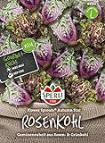 Kohlsamen - Rosenkohl Flower Sprout Autumn Star von Sperli-Samen Foto, bester Preis 7,49 € neu 2024