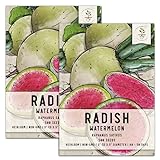 Seed Needs, Watermelon Radish (Raphanus sativus) Twin Pack of 500 Seeds Each Non-GMO Photo, best price $7.99 new 2024