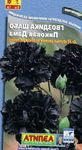 svart Hage blomster Nellik, Dianthus caryophyllus Bilde