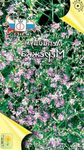 лила Баштенске Цветови Патуљак Пеппервеед, Lepidium nanum фотографија