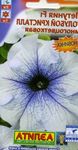 hellblau Gartenblumen Petunie, Petunia Foto