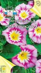 розовый Садовые Цветы Вьюнок (Конвольвулюс), Convolvulus Фото