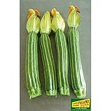 ZUCCHINO ROMANESCO NR.40 SEMI foto, miglior prezzo EUR 2,00 nuovo 2025