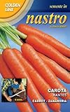 CAROTA NANTES IN NASTRO foto, miglior prezzo EUR 2,22 nuovo 2025