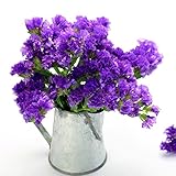 Semi di Static Purple - Limonium sinuatum foto, miglior prezzo EUR 10,99 nuovo 2025