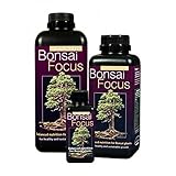 Bonsai Focus 1L - Growth Technology foto, miglior prezzo EUR 7,25 nuovo 2025