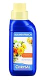 Chrysal Blumenfrisch Schnittblumennahrung, 250 ml Foto, bester Preis 7,28 € neu 2024