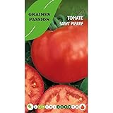 Graines passion bolsa de semillas tomate san pedro Foto, mejor precio 4,80 € nuevo 2025