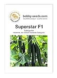 Gurkensamen Superstar F1 Gewächshausgurke Portion Foto, bester Preis 2,75 € neu 2024