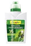 Flower 10533 - Abono líquido Plantas Verdes, 500 ml Foto, mejor precio 4,55 € nuevo 2025