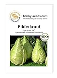 BIO-Kohlsamen Filderkraut Weißkohl Portion Foto, bester Preis 2,35 € neu 2025