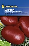 Kiepenkerl Zwiebeln Braunschweiger Foto, bester Preis 2,29 € neu 2024