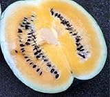 HeirloomSupplySuccess 25 Heirloom Desert King Watermelon Seeds Photo, best price $5.99 new 2024