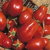 Shop Meeko Tomate - San Marzano - 75 graines Photo, meilleur prix 4,59 € nouveau 2025