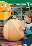 Semilla calabaza Atlantic giant - Rocalba Foto, mejor precio 2,40 € nuevo 2024