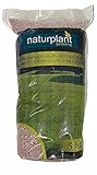 NATURPLANT Abono Especial Césped, Rojo, 5 Kg Foto, mejor precio 16,95 € nuevo 2024