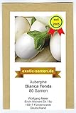 Aubergine - weiß - rund - italienisch - mittelfrüh - Bianca Tonda - 80 Samen Foto, bester Preis 2,39 € neu 2024