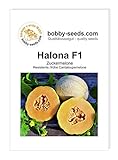 Melonensamen Halona F1 Zuckermelone Portion Foto, bester Preis 2,30 € neu 2024